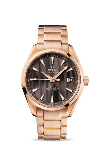 Omega Aqua Terra