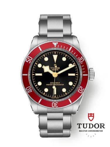 Tudor Black Bay